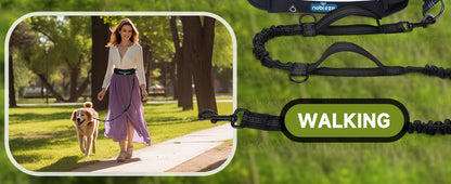 Correa elástica de bolsillo para perros, manos libres, correa retráctil con doble cuerda elástica.