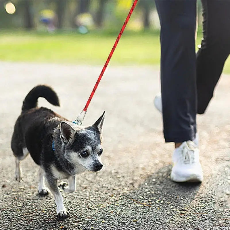 Correas reflectantes para perros, correas giratorias para perros de patio, correas largas de entrenamiento, resistentes al desgaste, cable para exteriores, cable para atar perros.