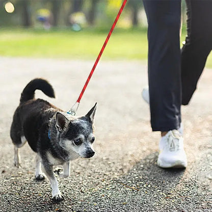 Correas reflectantes para perros, correas giratorias para perros de patio, correas largas de entrenamiento, resistentes al desgaste, cable para exteriores, cable para atar perros.