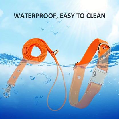 Correa y collar impermeables para perros - Envoltura de PVC, ajustable, fácil de limpiar - Perros pequeños, medianos y grandes