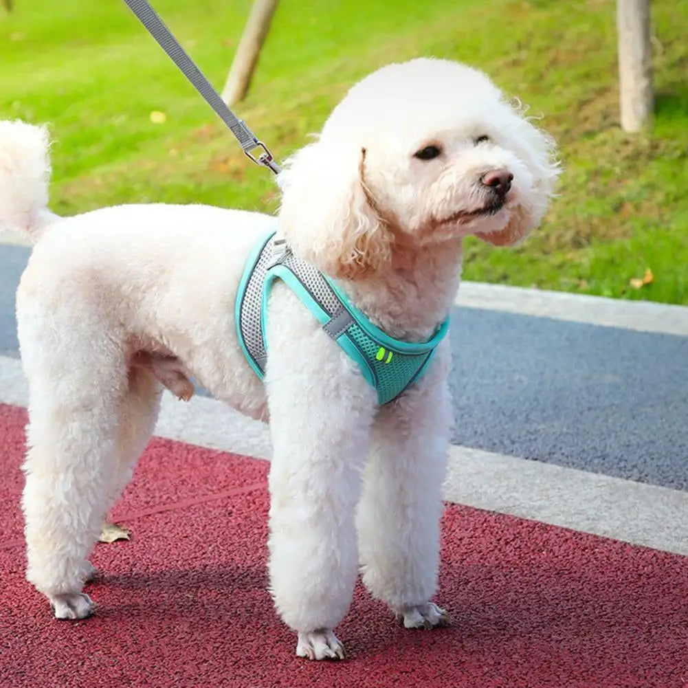 Adjustable Pet Harness Breathable Mesh Pet Vest Harness with Leash Adjustable Buckle for Small Dogs Cats Reflective for Safety