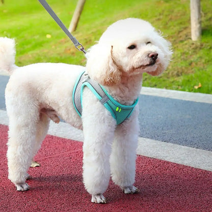 Adjustable Pet Harness Breathable Mesh Pet Vest Harness with Leash Adjustable Buckle for Small Dogs Cats Reflective for Safety