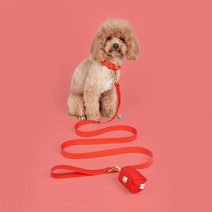 Correa y collar impermeables para perros - Envoltura de PVC, ajustable, fácil de limpiar - Perros pequeños, medianos y grandes