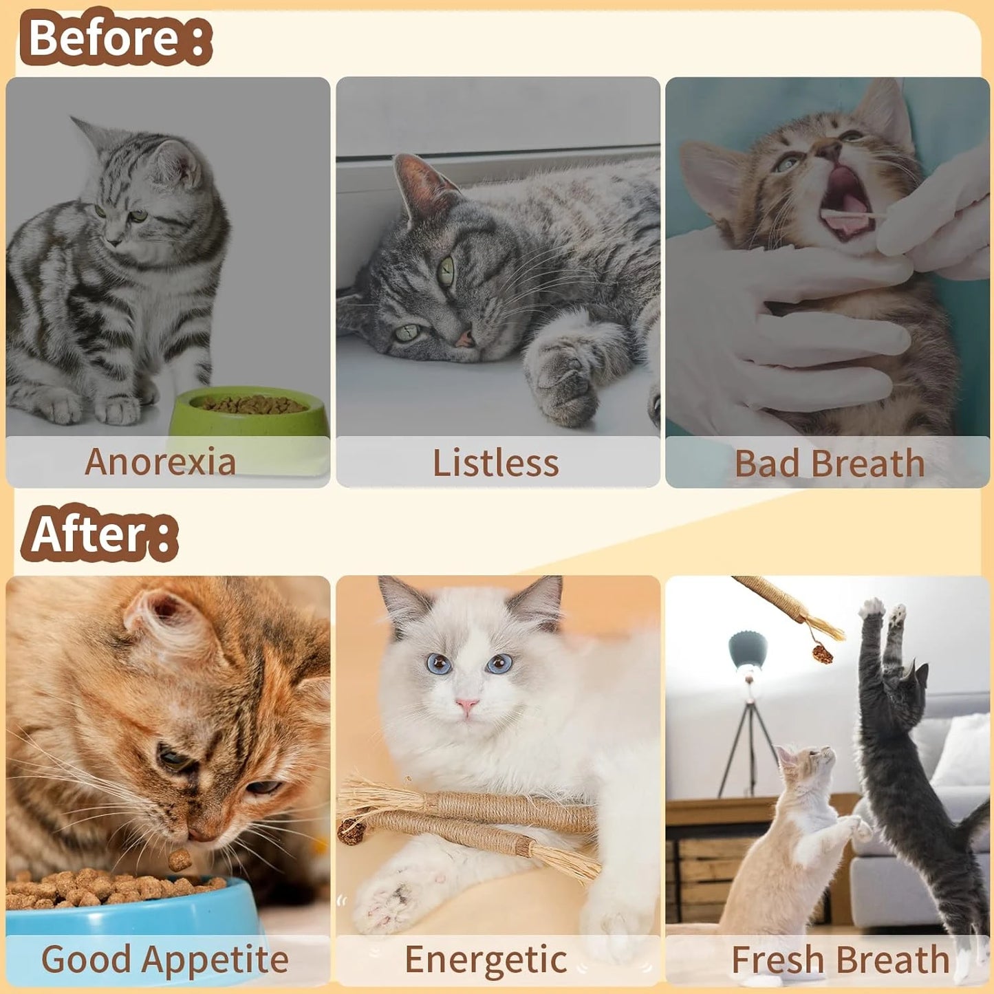 Emocionante juego de juguetes masticables Matatabi Silvervine de alta calidad para gatos de interior: palitos masticables naturales ideales para la limpieza dental.