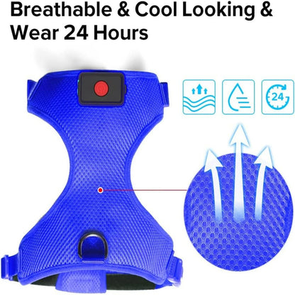 Arnés para perros con luz LED azul reflectante y brillante