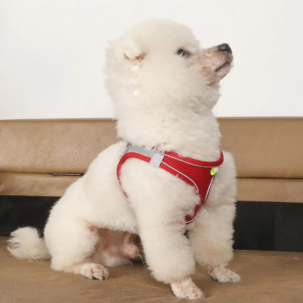 Adjustable Pet Harness Breathable Mesh Pet Vest Harness with Leash Adjustable Buckle for Small Dogs Cats Reflective for Safety