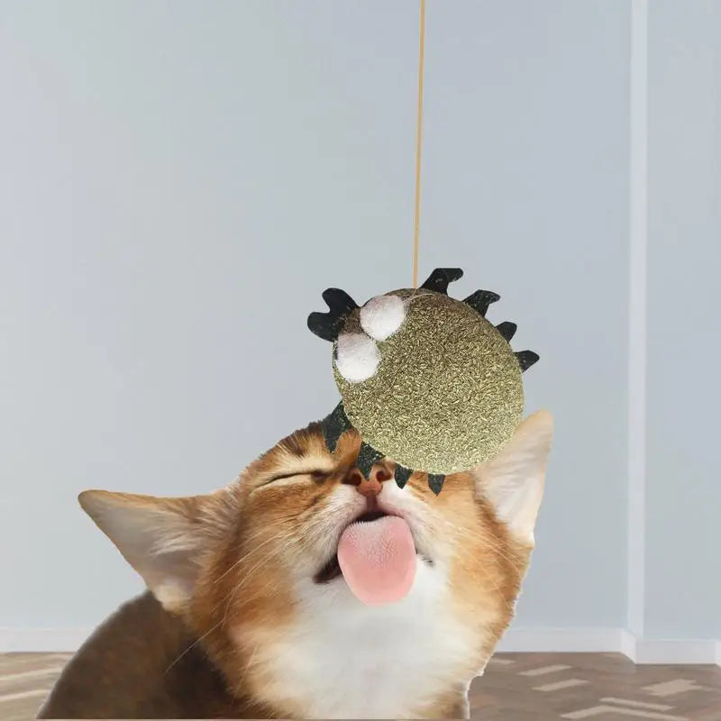 Juguete de hierba gatera molar con dibujos animados, bola comestible de hierba gatera, menta para gatos, juego de limpieza de dientes molares, juguete para mascotas, hierba gatera molar para gatos