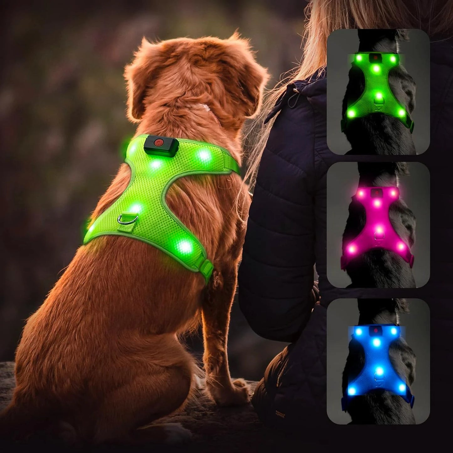 Arnés para perros con luz LED azul reflectante y brillante