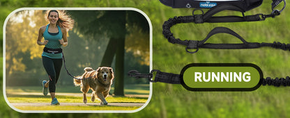 Correa elástica de bolsillo para perros, manos libres, correa retráctil con doble cuerda elástica.