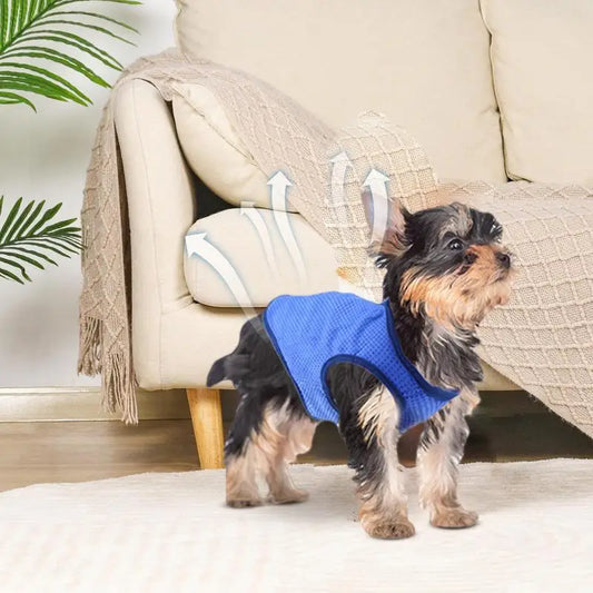 Chaleco transpirable para perros, de secado rápido, cómodo y agradable para la piel, ropa de moda para mascotas para exteriores.