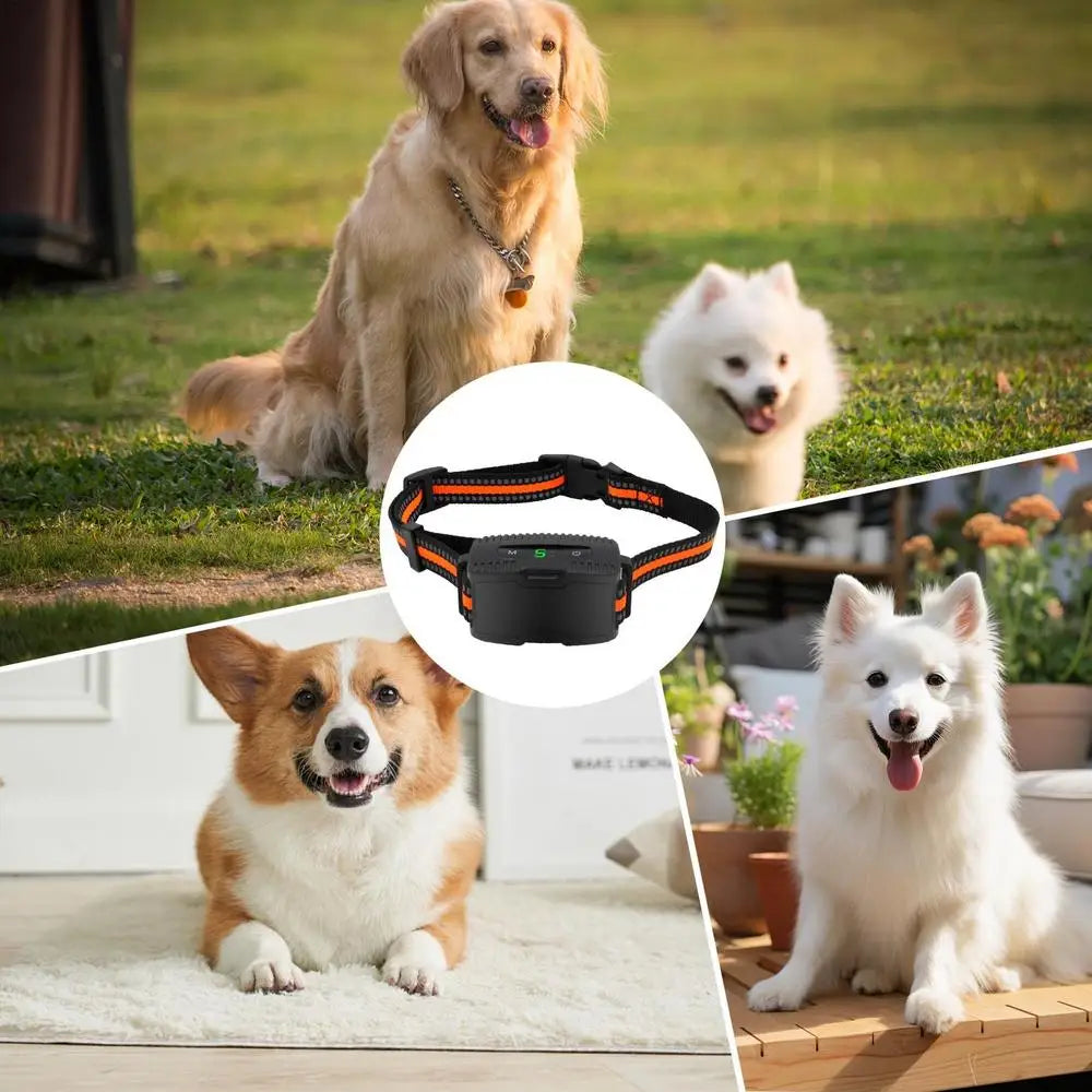 Electronic Pet Training Collar Dog Shock Collars With Multiple Training Modes E Collar Bark Training Collar For All Breeds