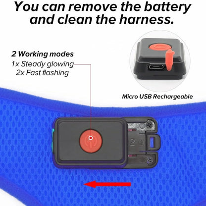 Arnés para perros con luz LED azul reflectante y brillante