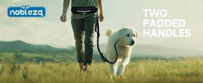 Correa elástica de bolsillo para perros, manos libres, correa retráctil con doble cuerda elástica.