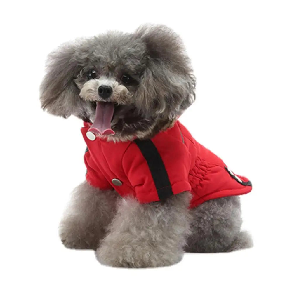 Chaqueta con capucha para perros y gatos, ropa para mascotas, ropa abrigada para perros pequeños, abrigo grueso y acolchado de invierno, chaleco, ropa para perros