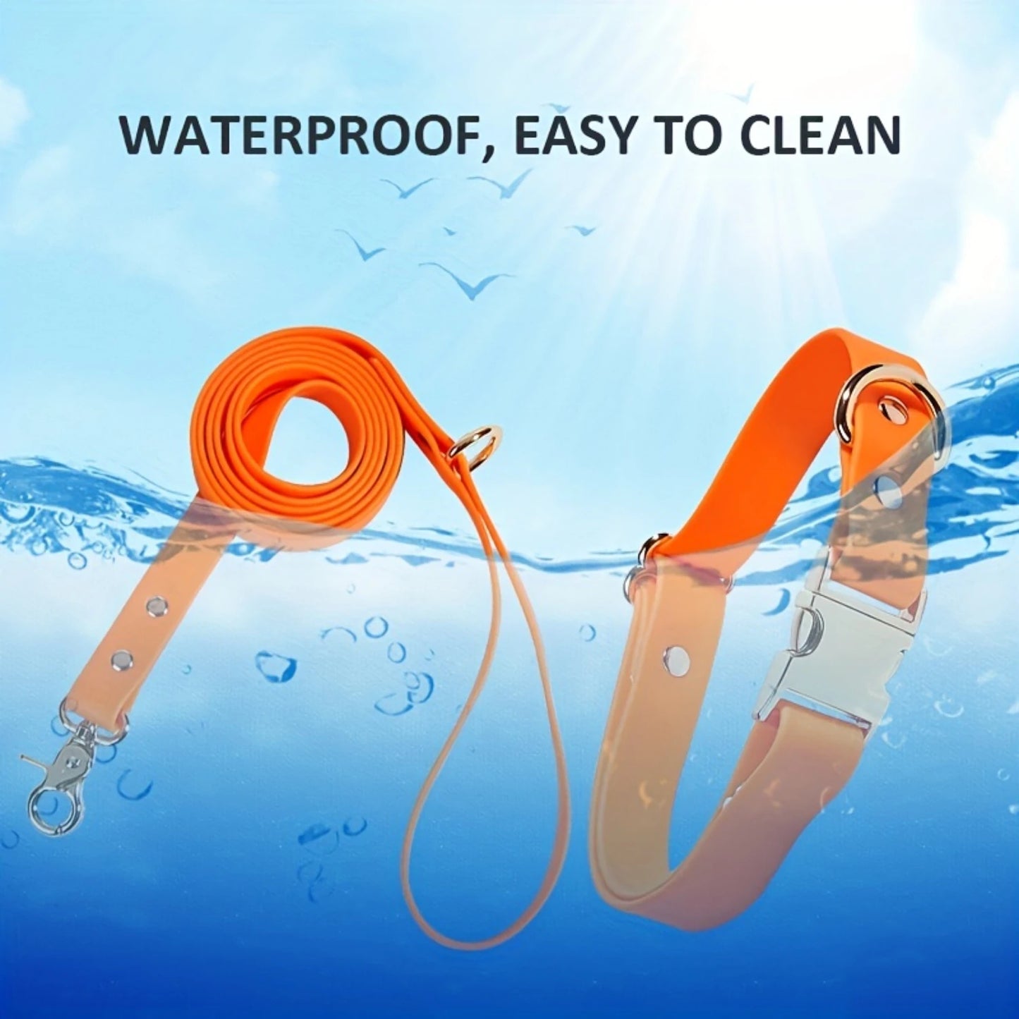 Correa y collar impermeables para perros - Envoltura de PVC, ajustable, fácil de limpiar - Perros pequeños, medianos y grandes
