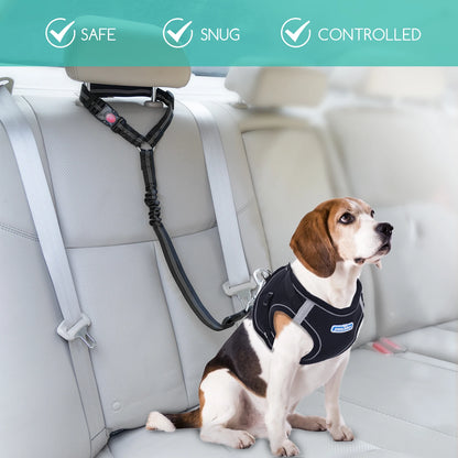 Cinturón de seguridad para coche para perros (2 unidades), arnés para perros con elástico reflectante.