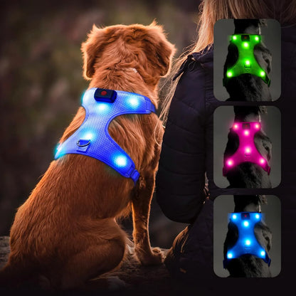 Arnés para perros con luz LED azul reflectante y brillante