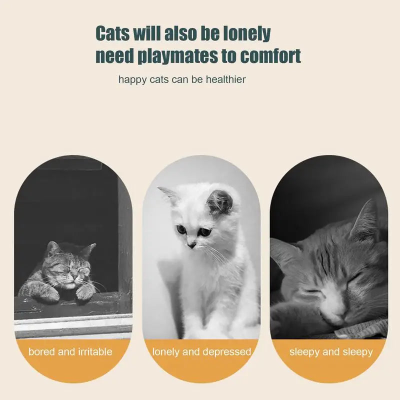 Juguete de plumas para gatos, juguete automático para golpear gatos, juguetes interactivos recargables con 7 agujeros, juguetes para gatitos, juegos para gatos, juguete de plumas