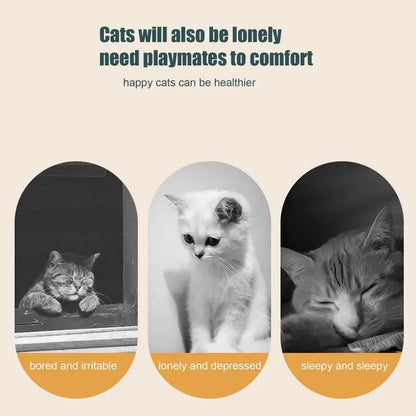 Juguete de plumas para gatos, juguete automático para golpear gatos, juguetes interactivos recargables con 7 agujeros, juguetes para gatitos, juegos para gatos, juguete de plumas