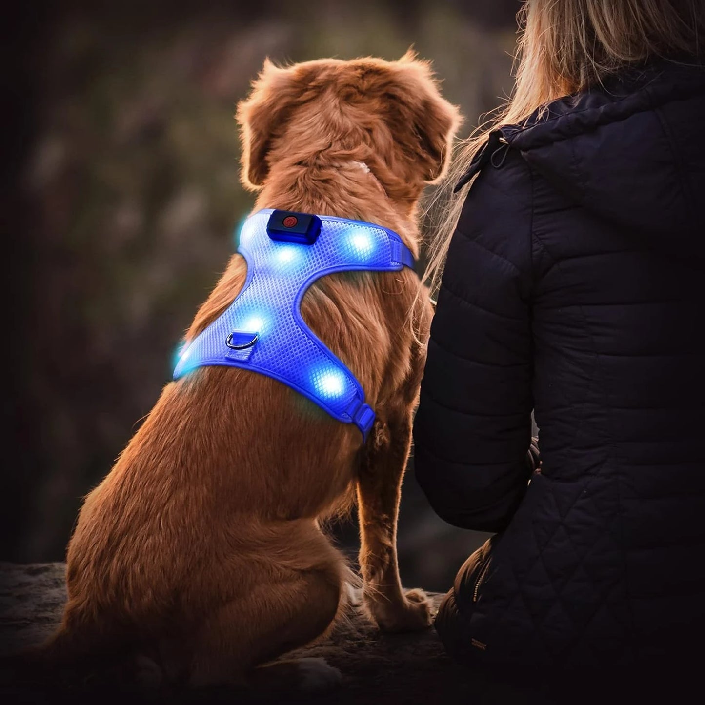 Arnés para perros con luz LED azul reflectante y brillante