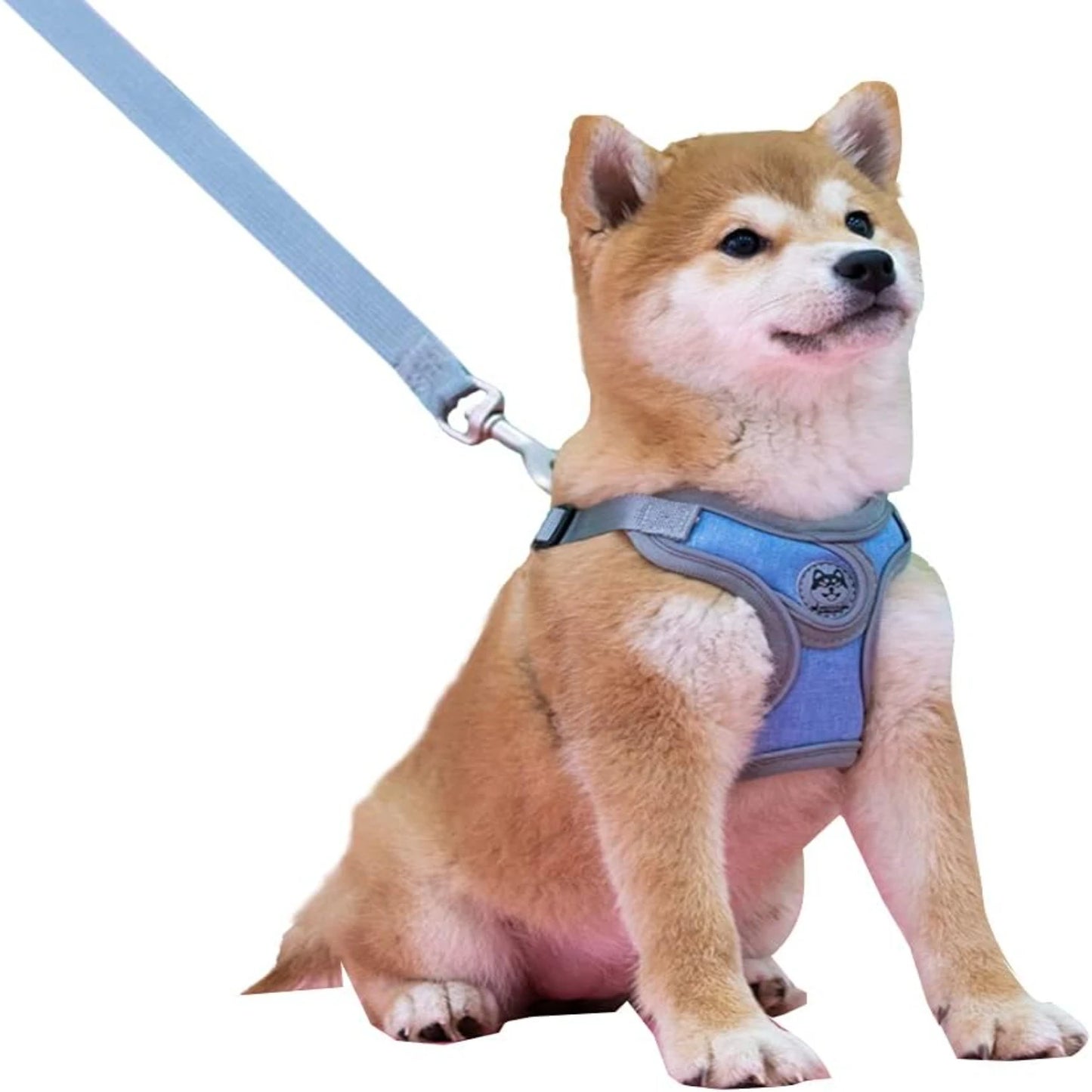 Un accesorio para mascotas mejorará la experiencia al aire libre de tu mascota como nunca antes. Elige un arnés ajustable, moderno y de alta calidad.