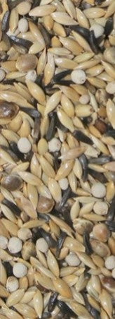 Alpiste canary  supreme, formato  1kg